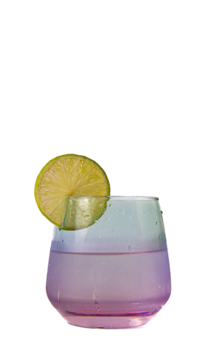 54-....-PINK-ELEPHANT-GIN-_-WIDE-WING-SHOOTS- (7)
