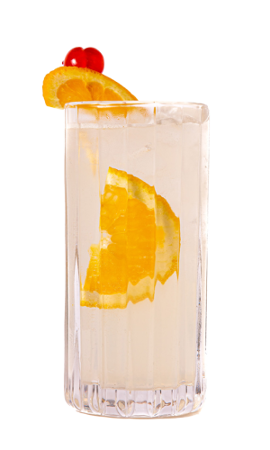 54-....-PINK-ELEPHANT-GIN-_-WIDE-WING-SHOOTS- (9)